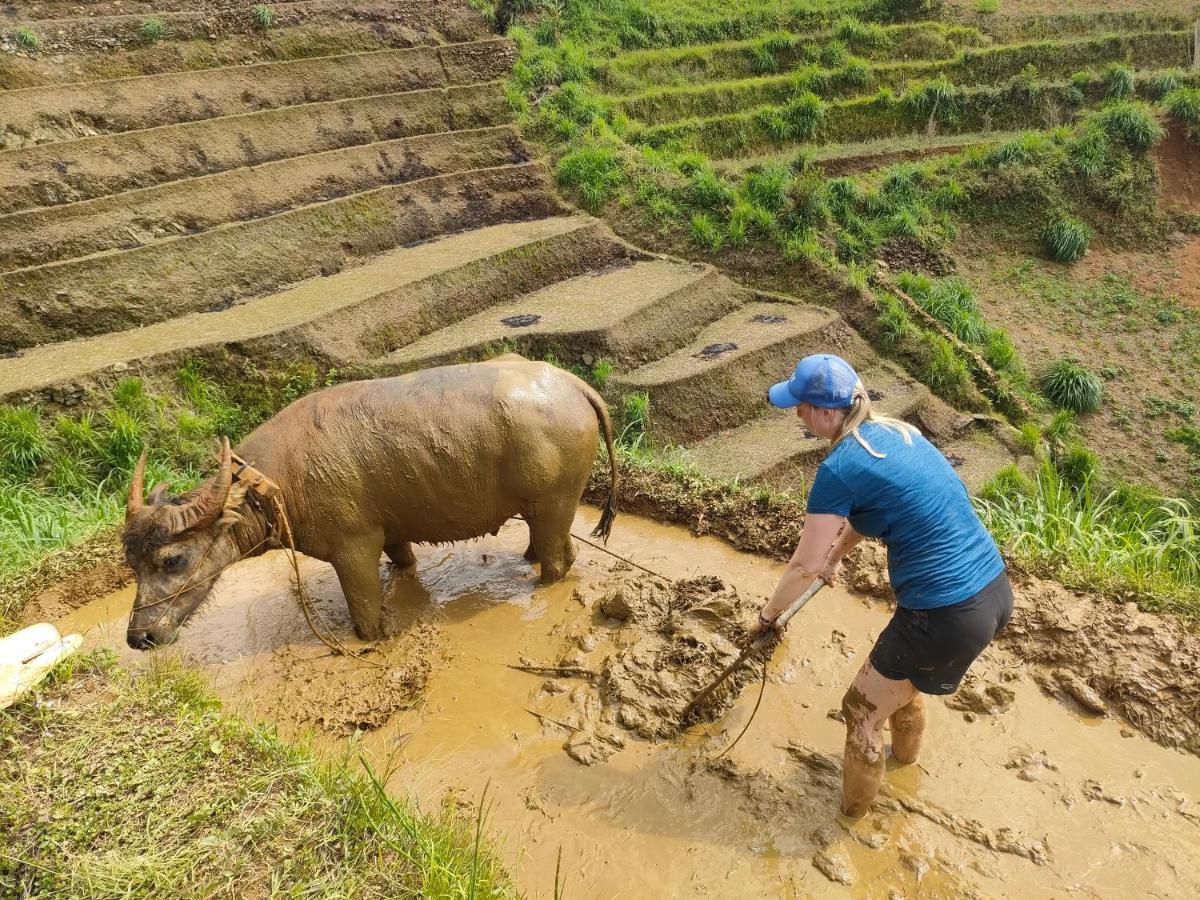 Indigenous Homestay- Trek- Food- Bus Mu Cang Chai 外观 照片