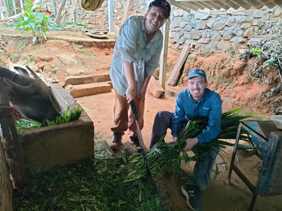 Indigenous Homestay- Trek- Food- Bus Mu Cang Chai 外观 照片