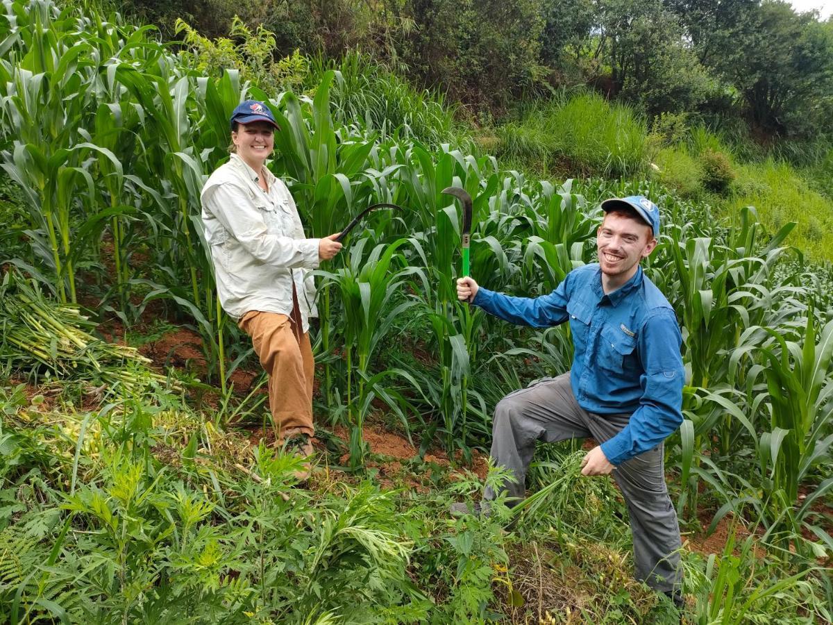 Indigenous Homestay- Trek- Food- Bus Mu Cang Chai 外观 照片