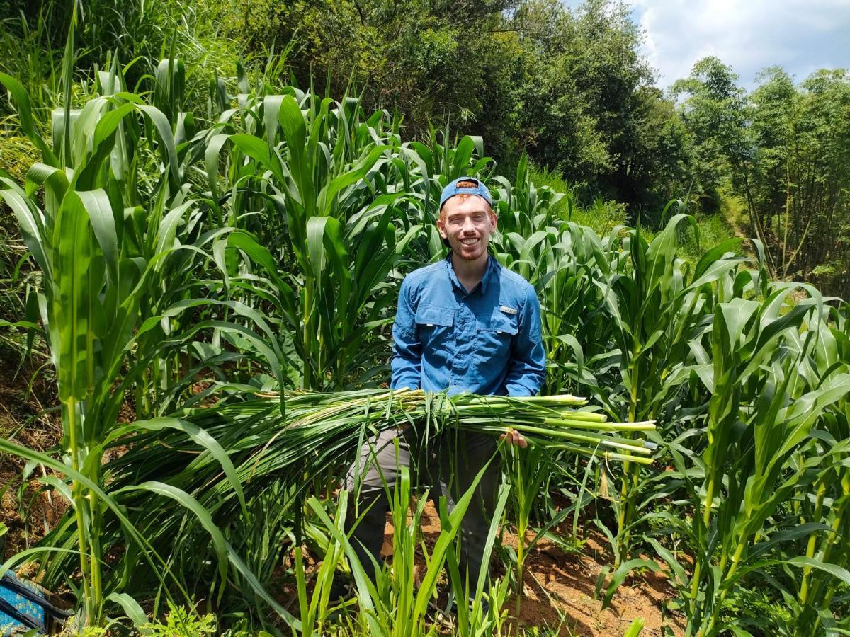 Indigenous Homestay- Trek- Food- Bus Mu Cang Chai 外观 照片