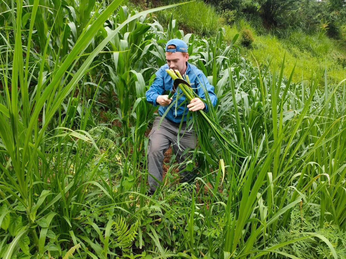 Indigenous Homestay- Trek- Food- Bus Mu Cang Chai 外观 照片