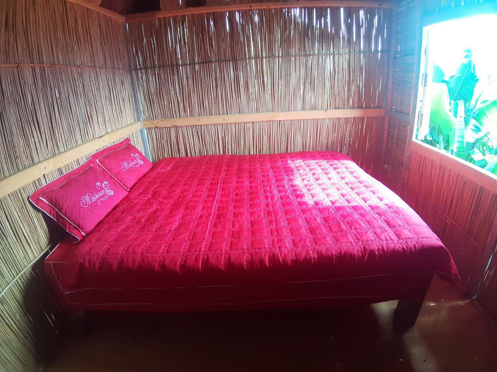 Indigenous Homestay- Trek- Food- Bus Mu Cang Chai 客房 照片
