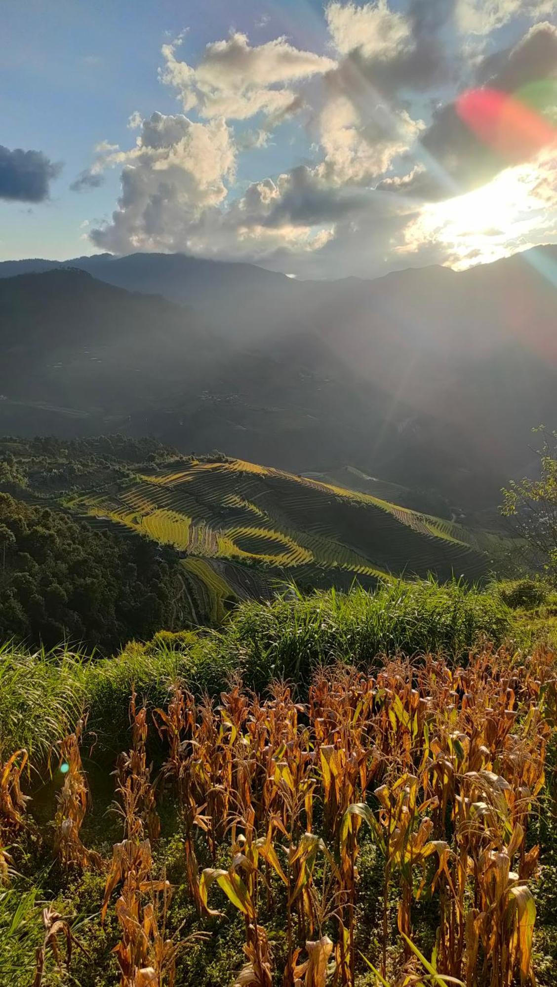 Indigenous Homestay- Trek- Food- Bus Mu Cang Chai 外观 照片