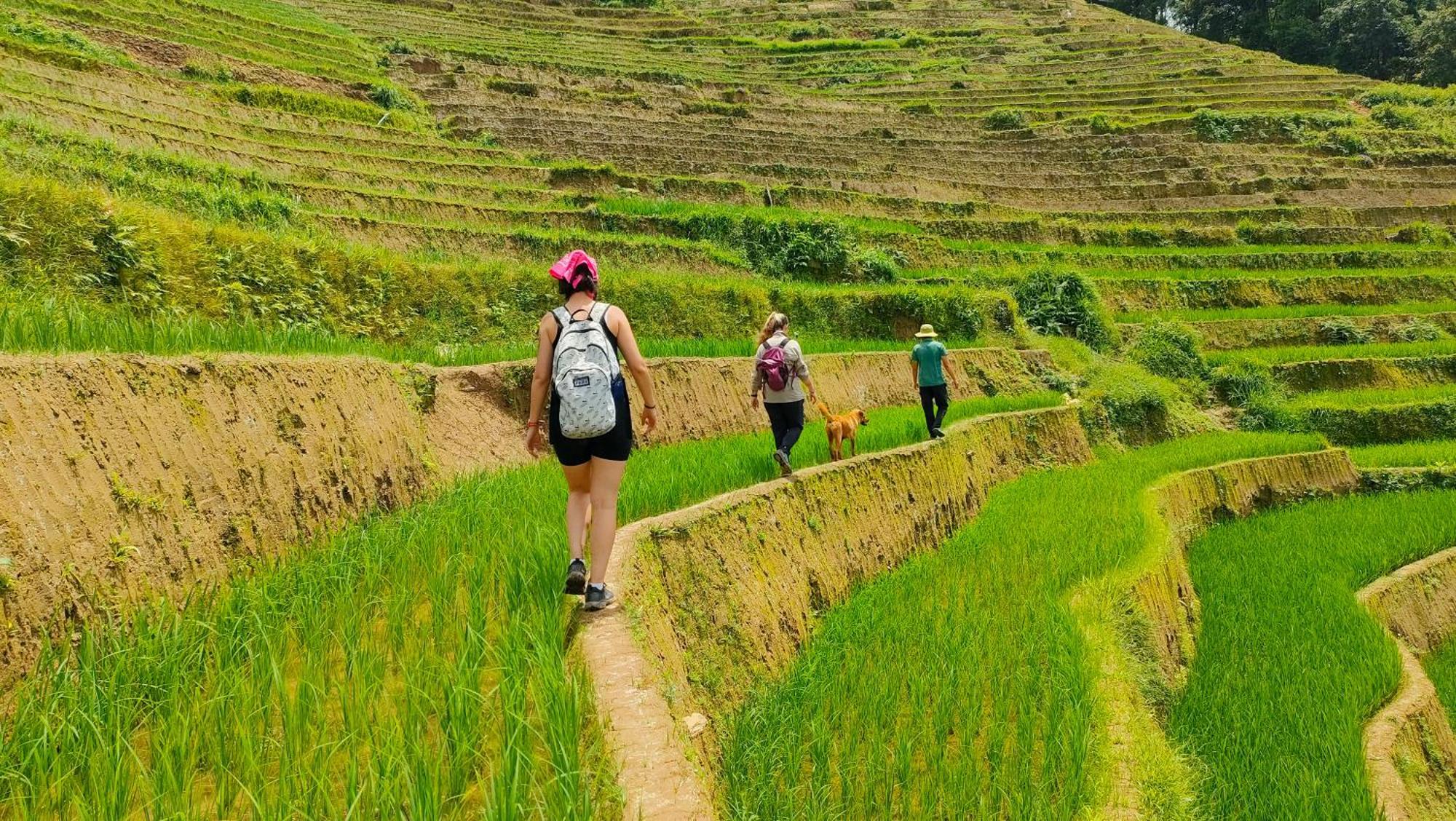 Indigenous Homestay- Trek- Food- Bus Mu Cang Chai 外观 照片